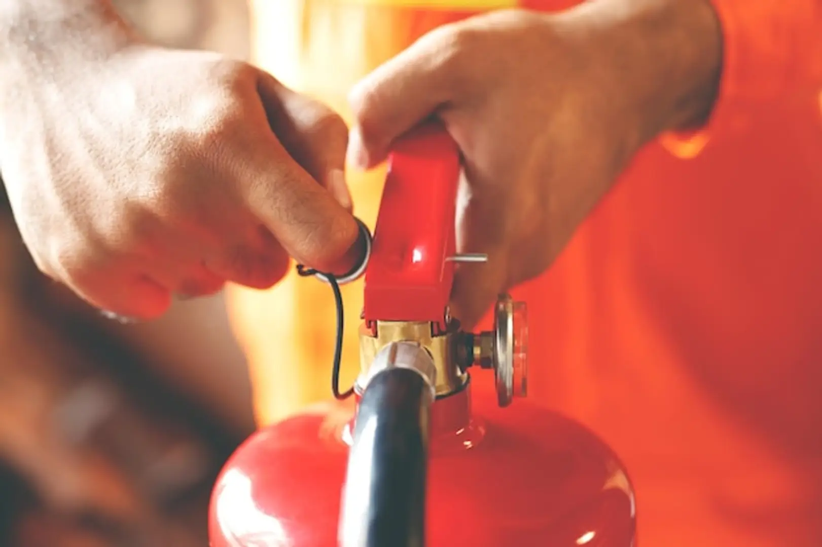 691ef8e5c2eed36550bbf5cc